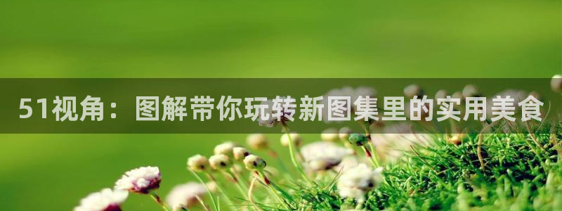 51视角：图解带你玩转新图集里的实用美食