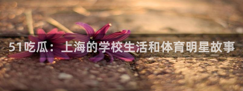 51吃瓜：上海的学校生活和体育明星故事